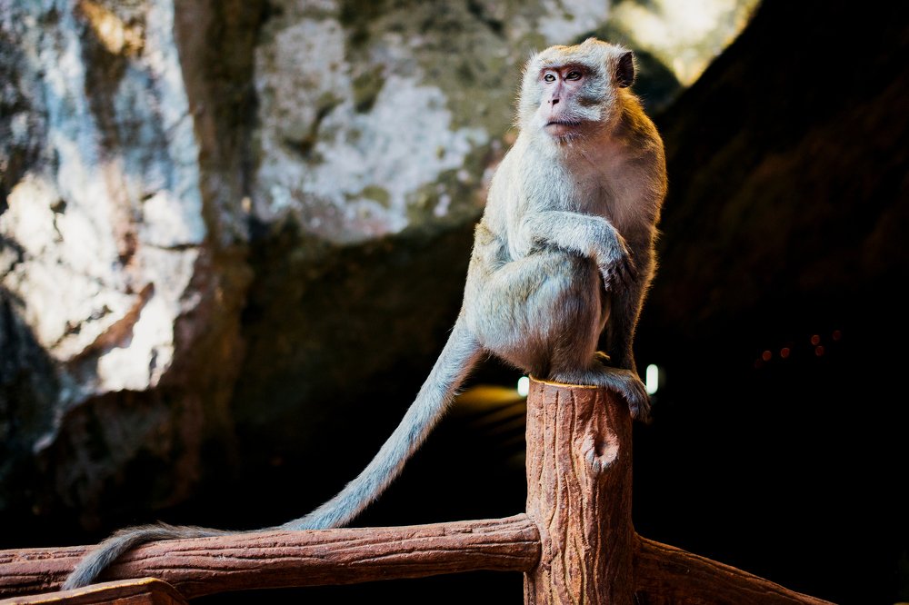 Photograph by Наталия Голованова