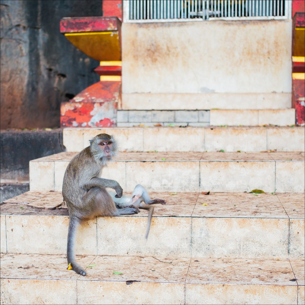 Photograph by Наталия Голованова