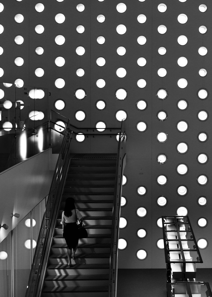 Photograph by tomo zou