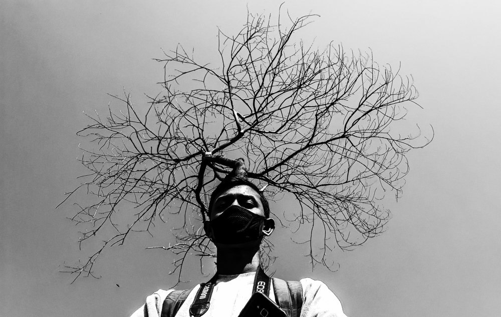 Photograph by Muhaiminul Islam Munaj Kazi