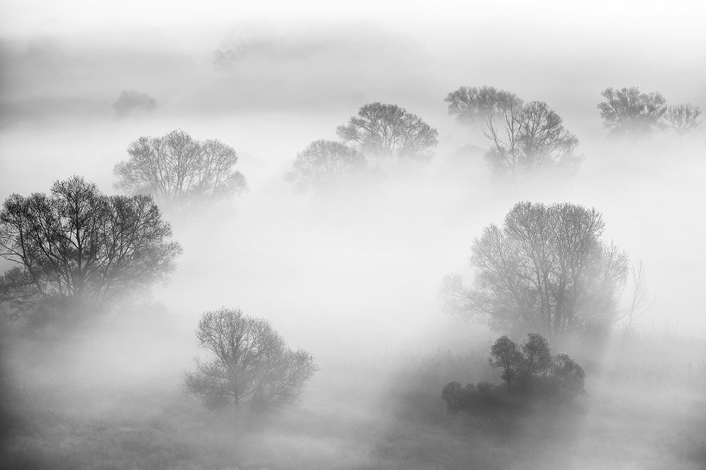 Туманное утро.