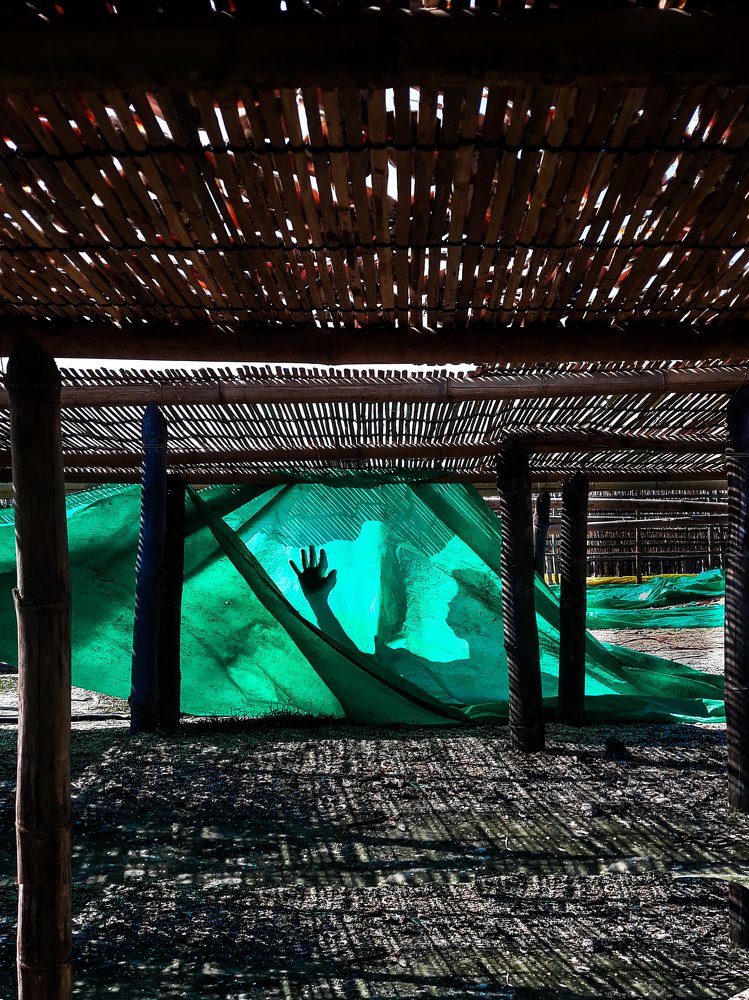 Photograph by Muhaiminul Islam Munaj Kazi