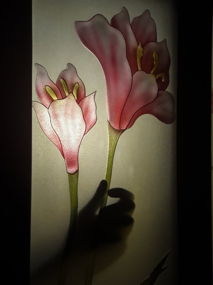 Photograph by Muhaiminul Islam Munaj Kazi