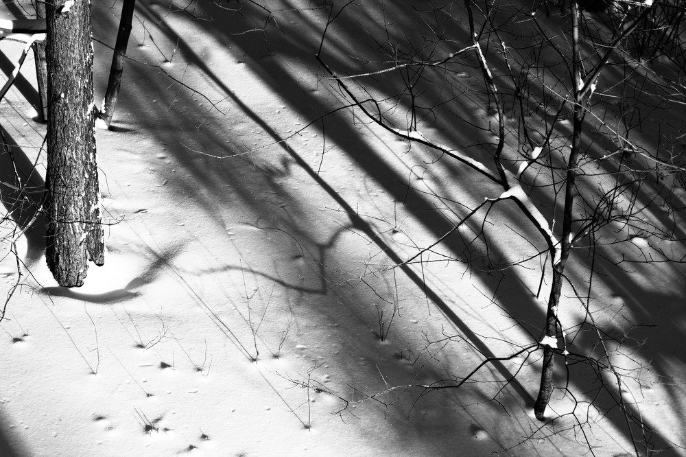 Игра теней!