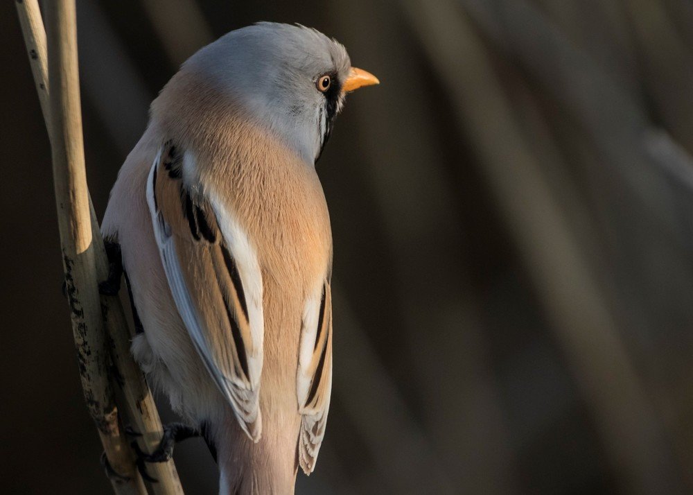 Photograph by Жбир Денис