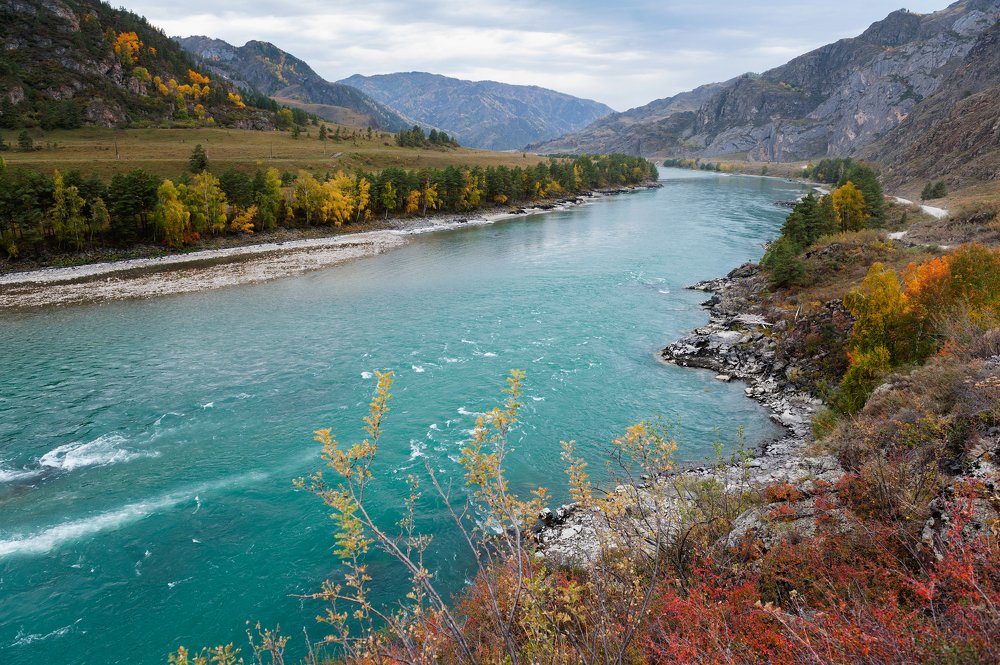 Краски осеннего Алтая