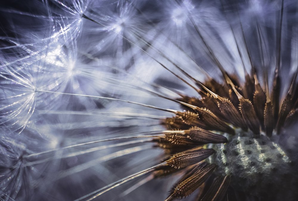 Photograph by Vlada Nesterova