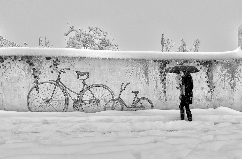 Photograph by ammar rahmani