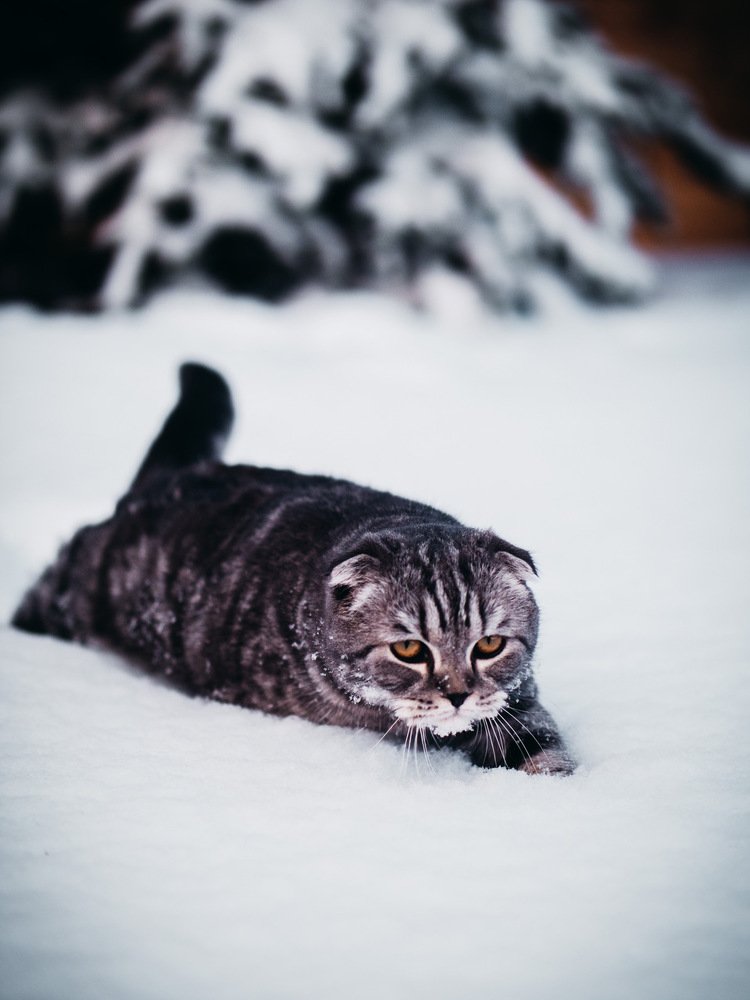 Photograph by Oxana Rovitskaya