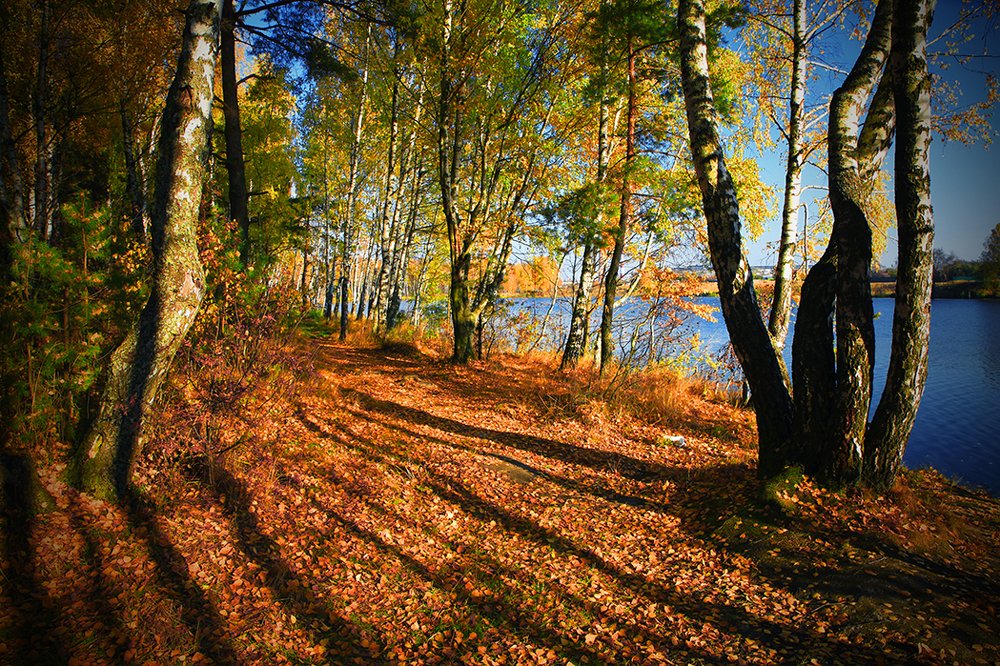 Берег теней