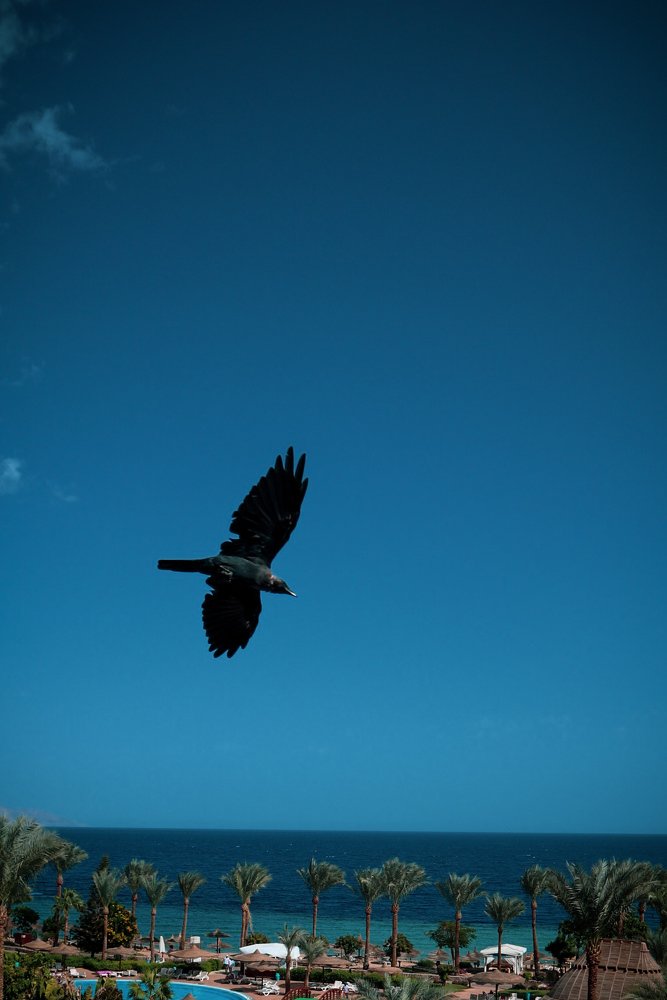 Photograph by Марина Шамич