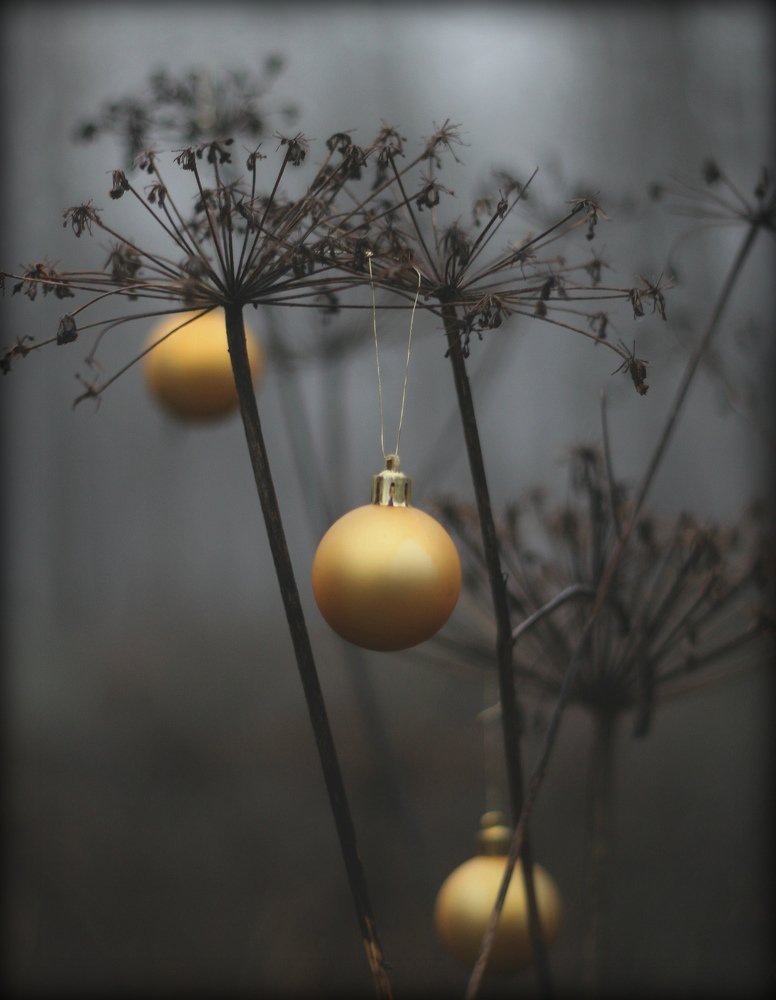 Скоро Новый Год!