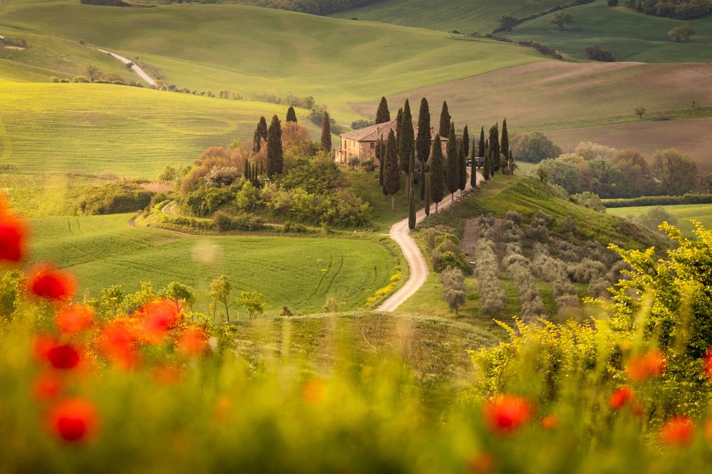 Beauty of Tuscany