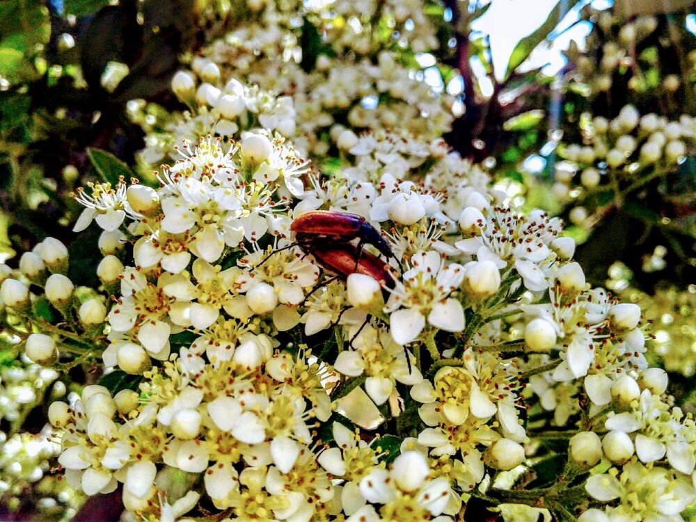 Photograph by Оксана Кийкова
