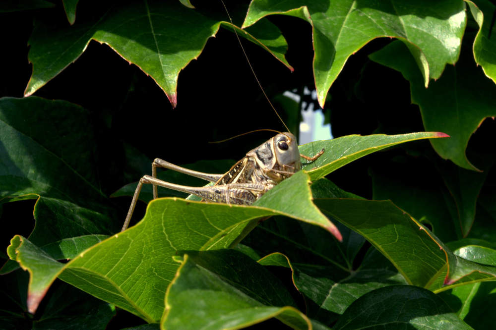 Photograph by Оксана Кийкова