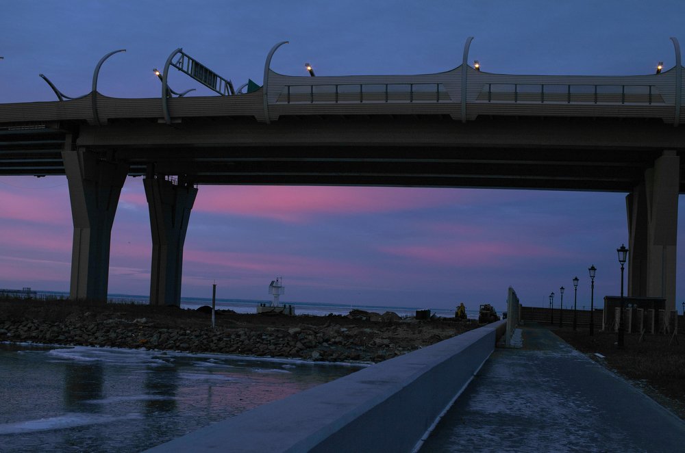 Фотография автора Анастасия Лившиц