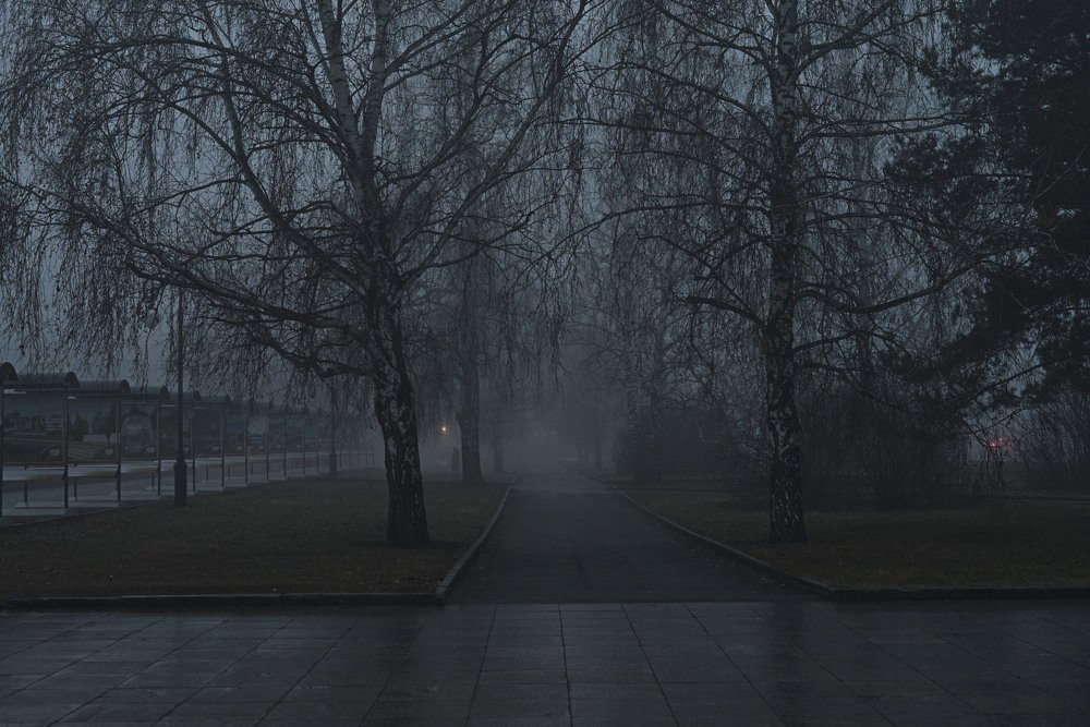 Photograph by Наталья Лещинская