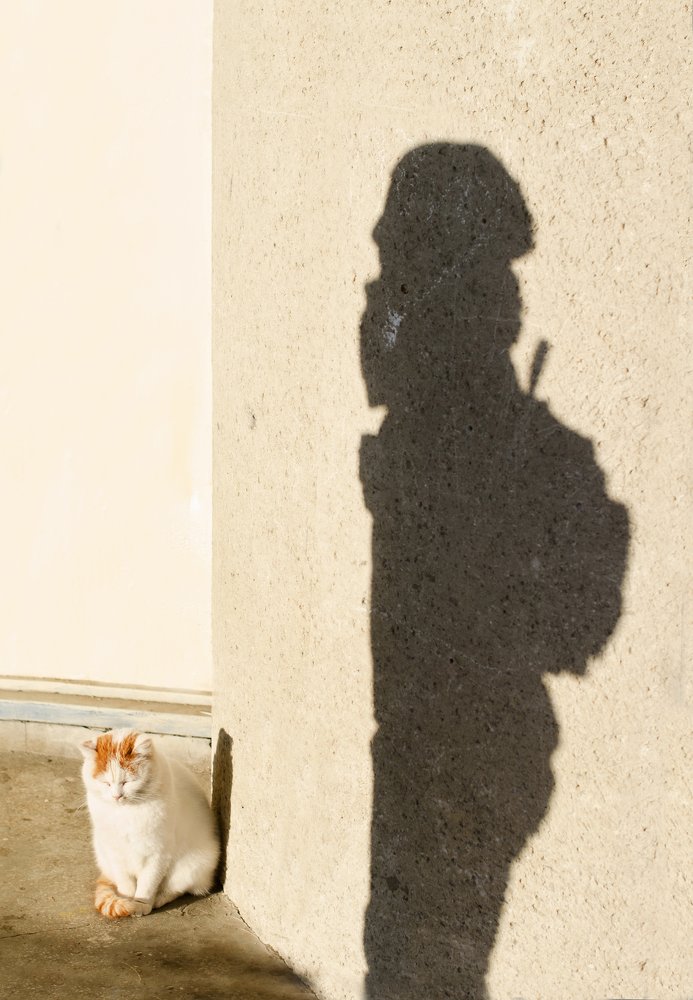 Photograph by Сергей Смирнов