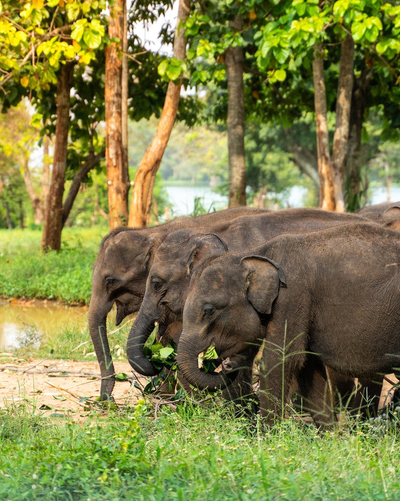 Photograph by Павел Токарев