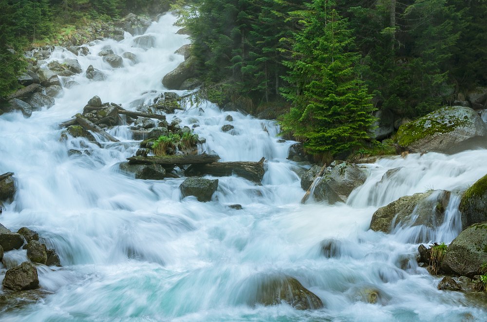 Фотография автора Руслан Комаров