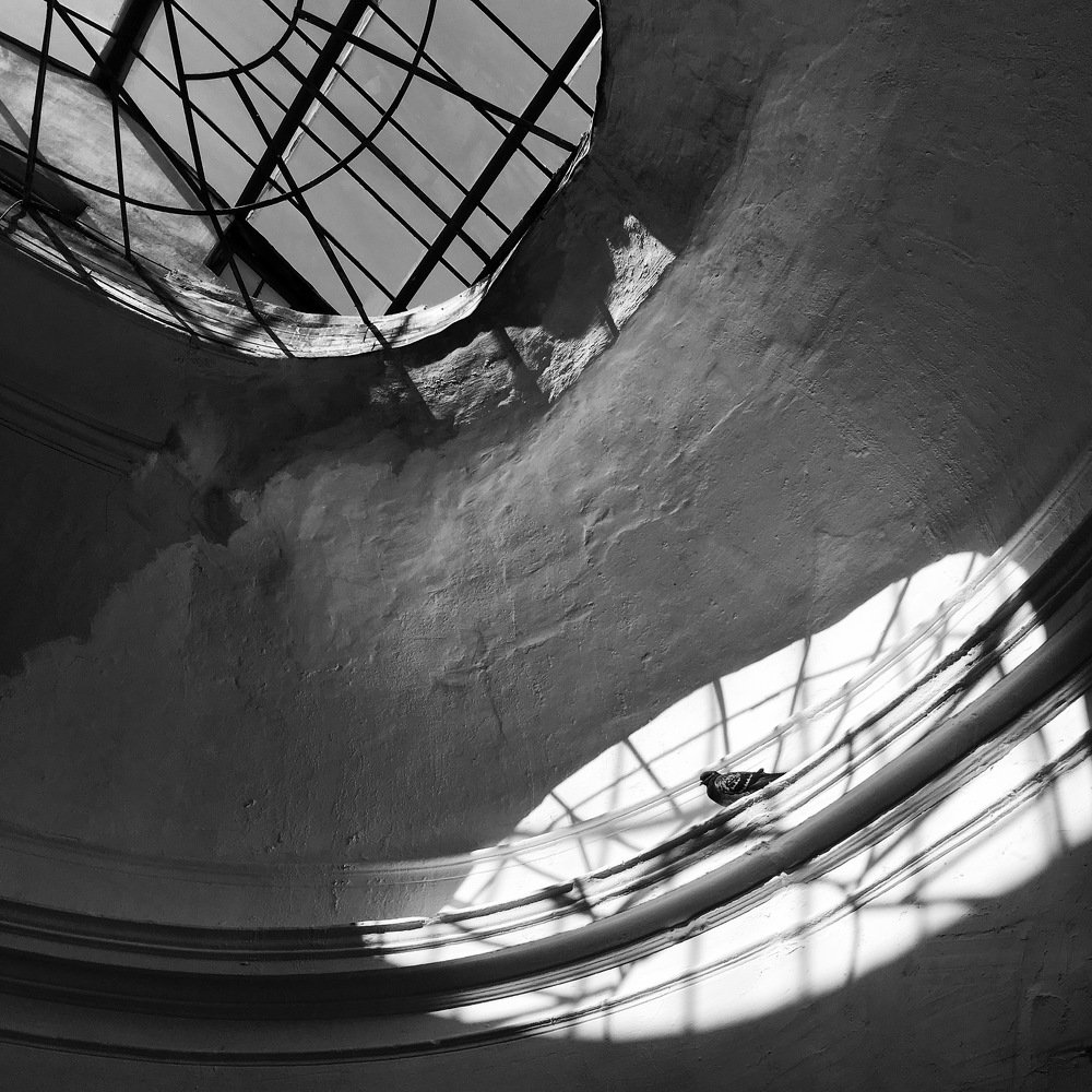 Photograph by Анна Макарова