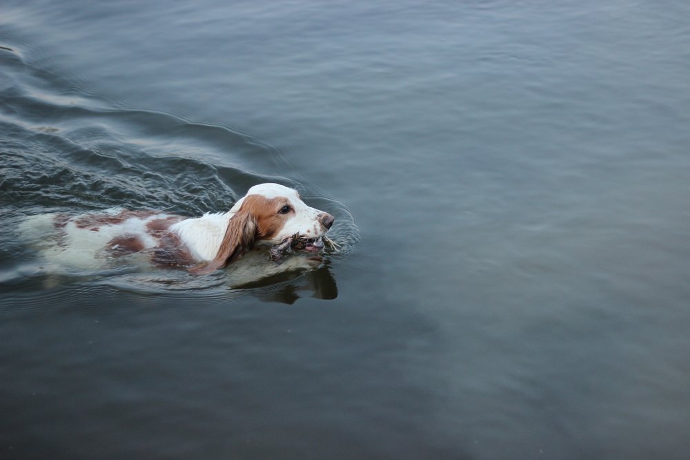 Photograph by Мила Мокина-Хайруллова