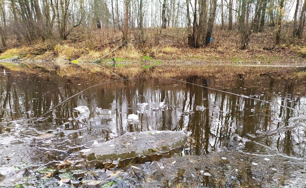 Photograph by Андрей Микулич