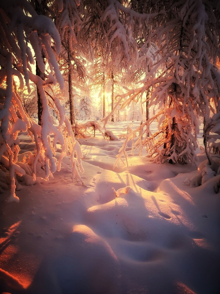 Волшебная сказка.