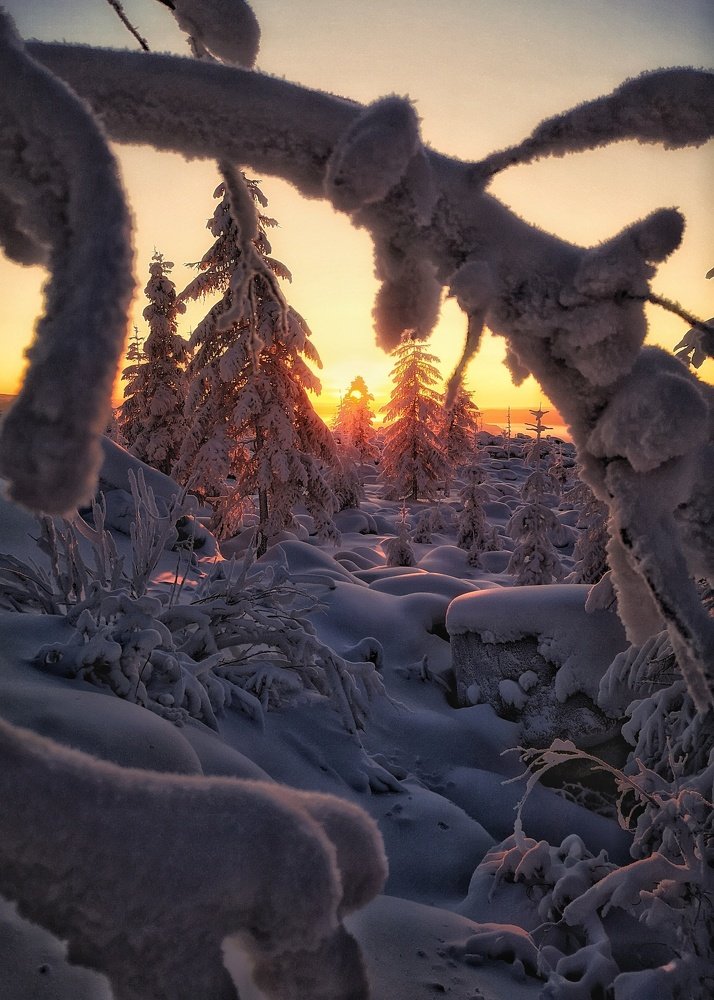 Закат в тайге.