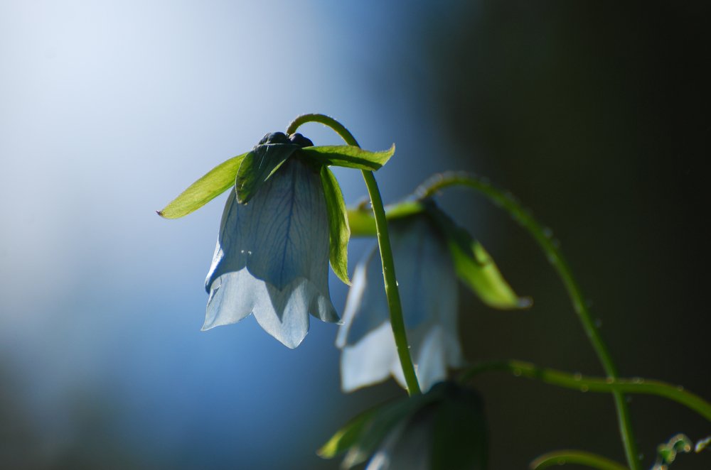 Photograph by Михаил Васильченко