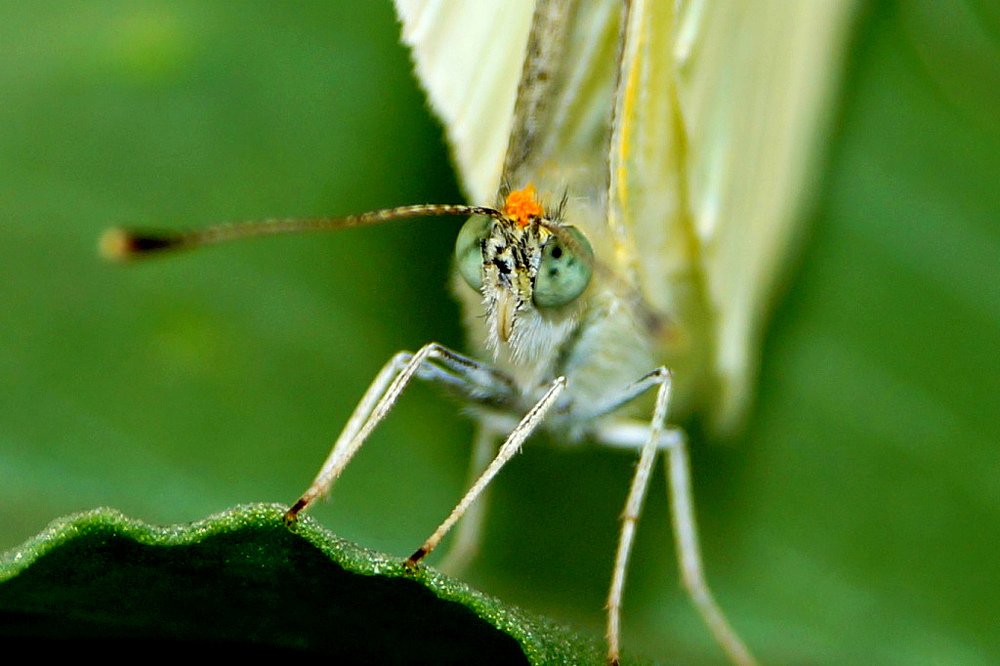 Photograph by Татьяна Мирохина