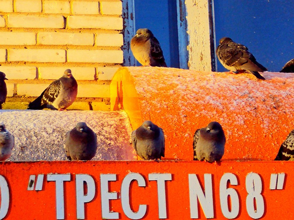 Photograph by Галина Гончарова