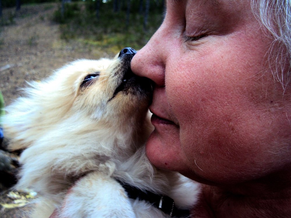 Photograph by Галина Гончарова