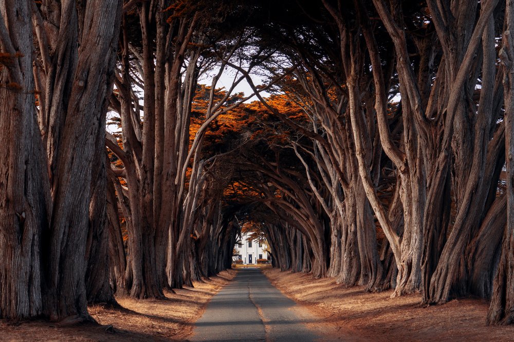 Photograph by Ашот Григорян