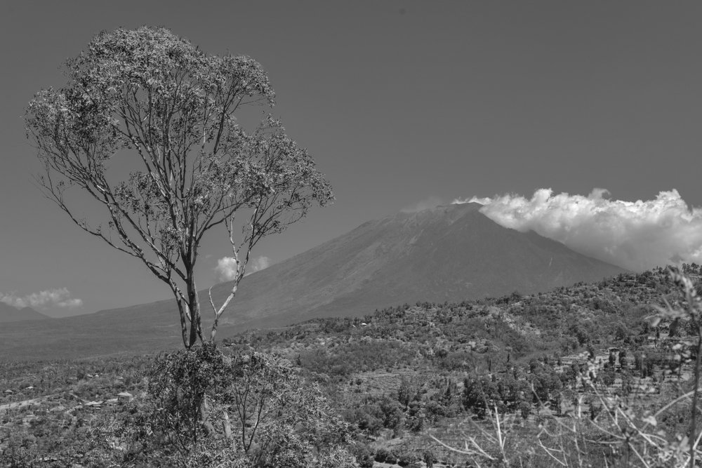 Photograph by Roozbeh Rahiminejat