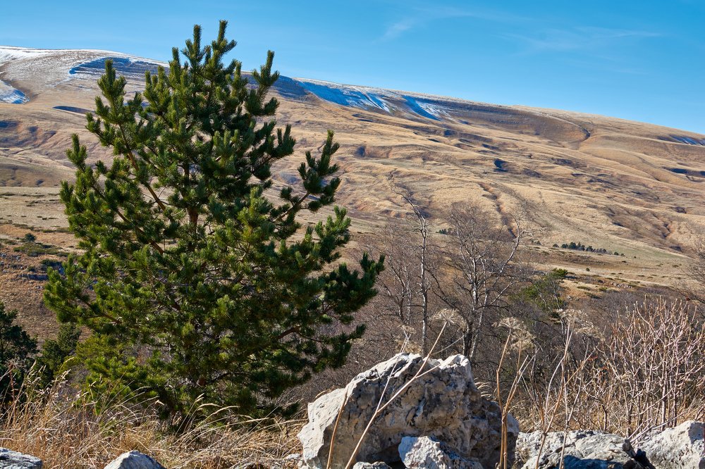 Photograph by Yaroslav