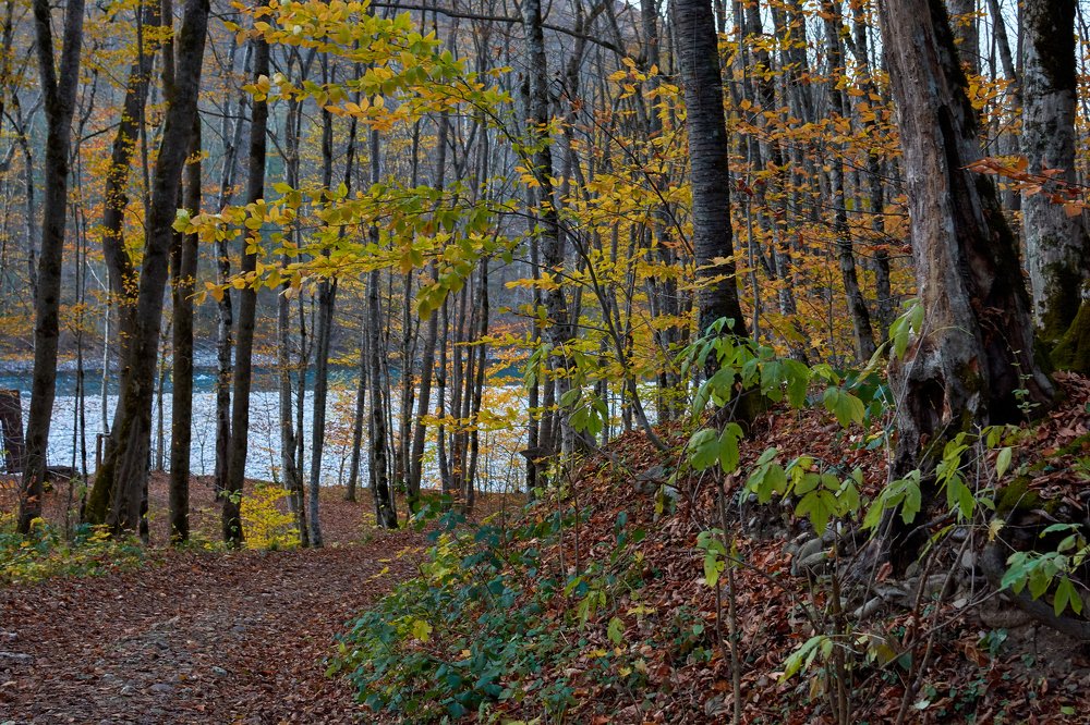 Photograph by Yaroslav