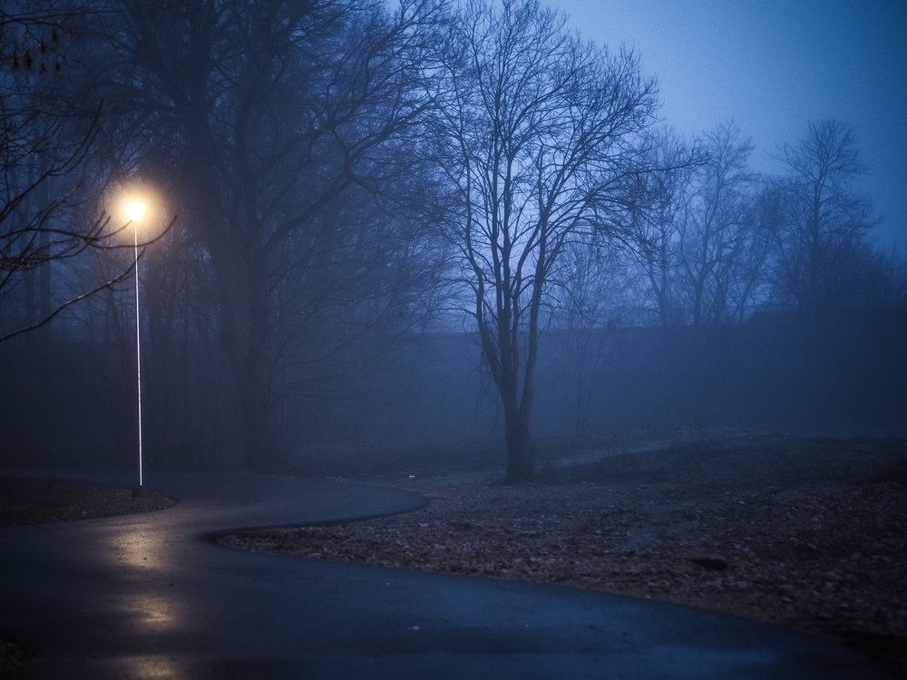 Photograph by Ольга Линк