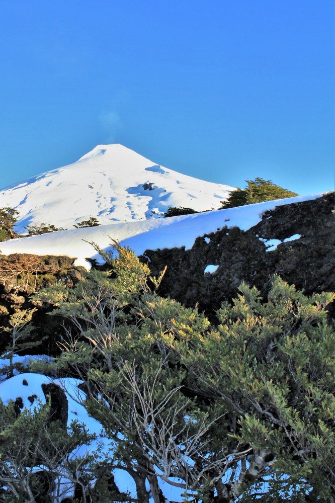 Фотография автора OSMIR ZANETTE