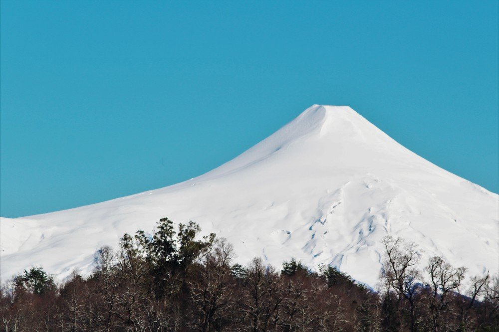 Фотография автора OSMIR ZANETTE