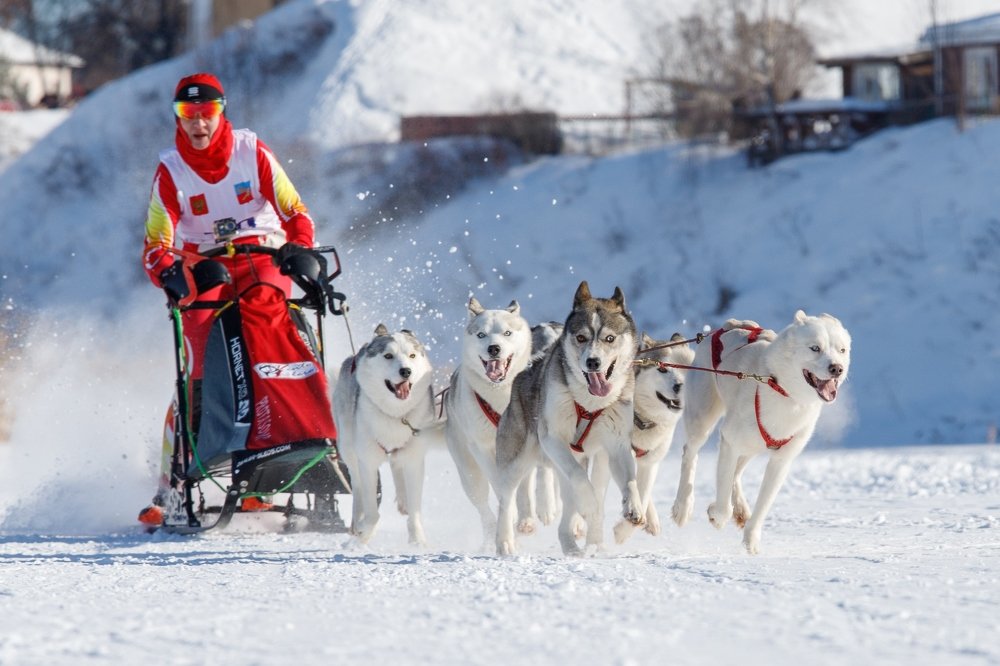 Photograph by Светлана Глебова