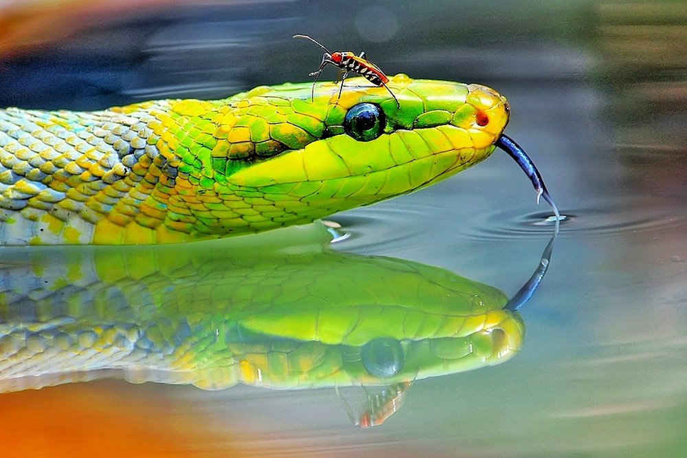 Photograph by sandi nopriyanto