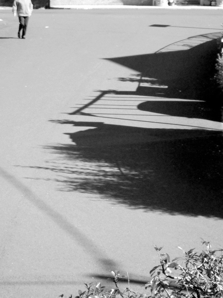 Фотография автора Nicole Thévenon