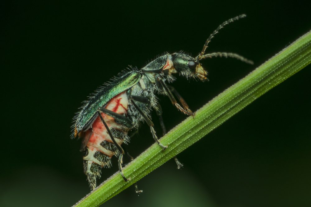 Photograph by Денис Ветренко
