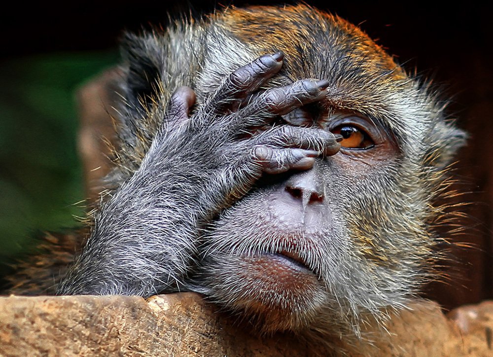 Photograph by sandi nopriyanto