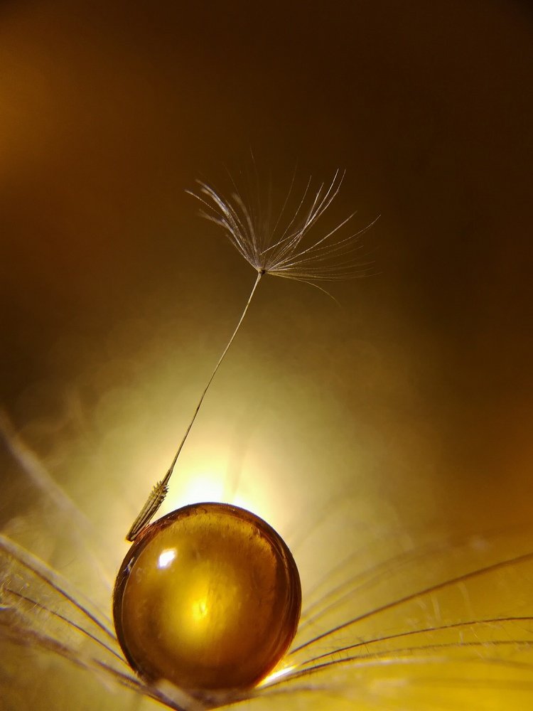 Photograph by Лилия