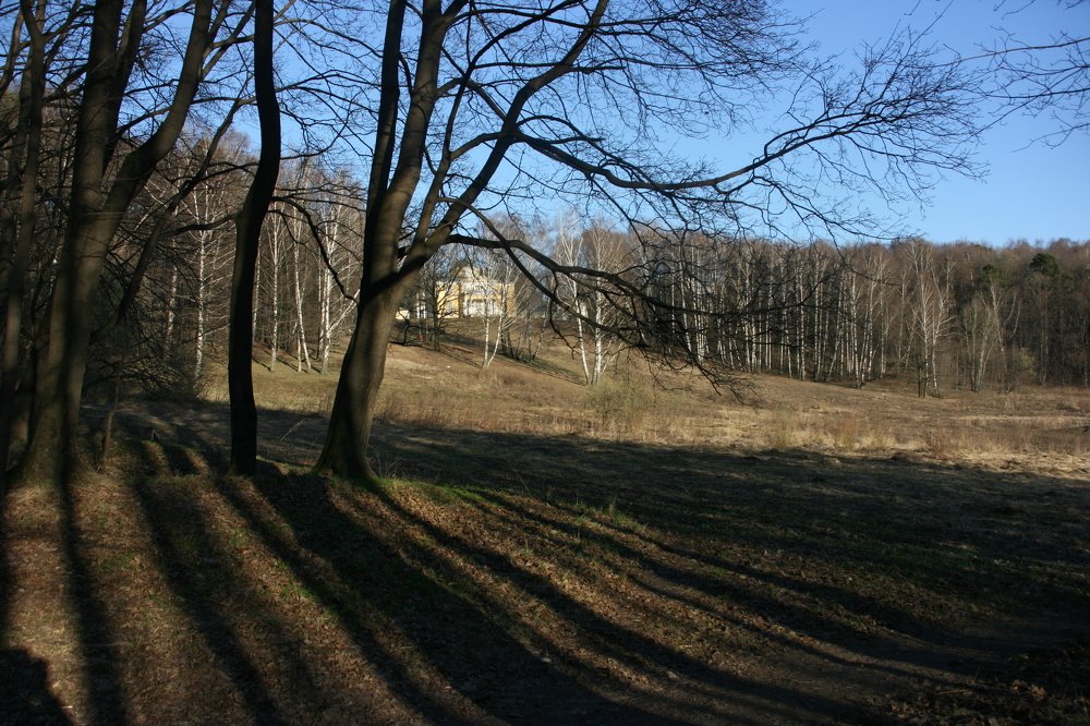 Photograph by Вадим Беляев