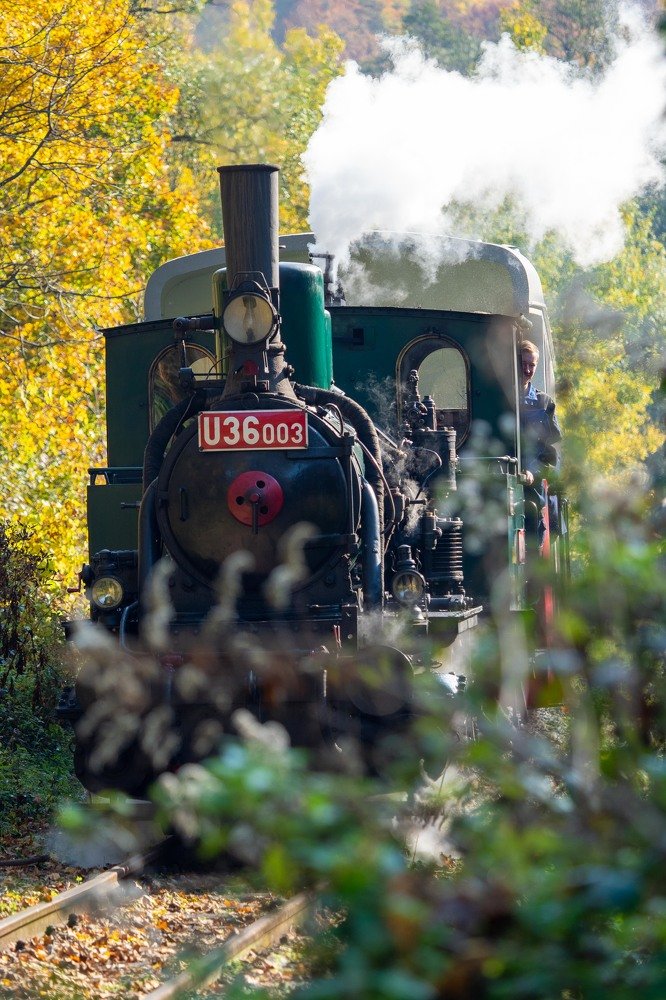 Photograph by Frantisek