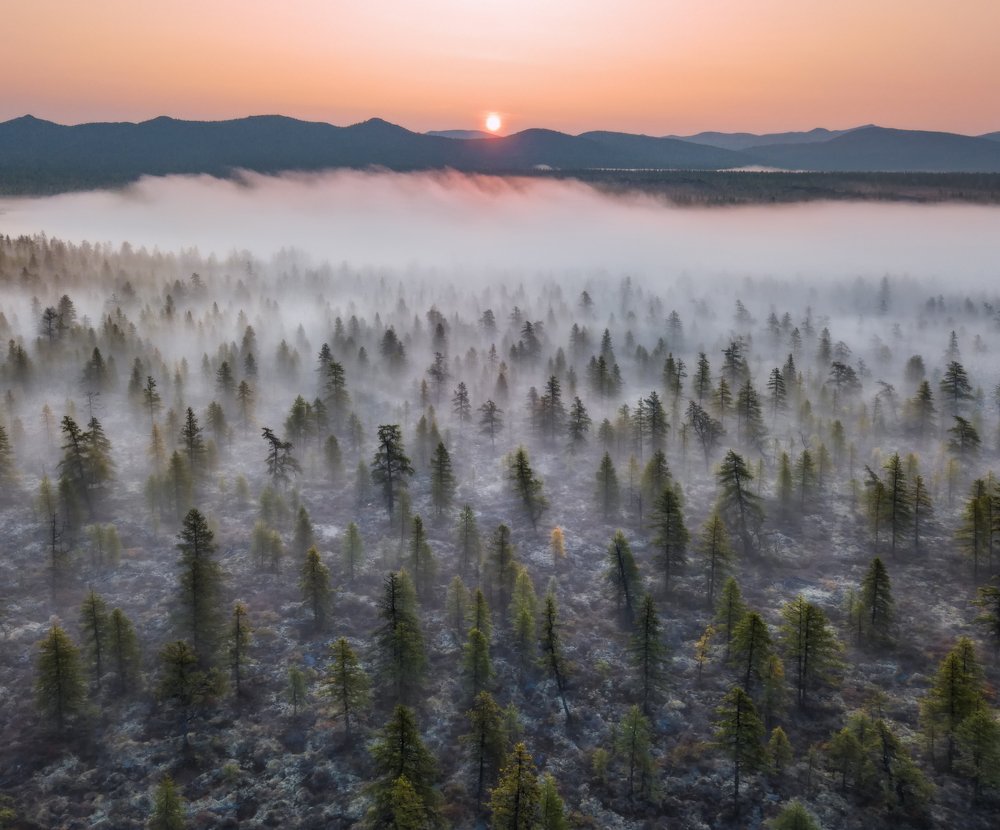 Наедине с тишиной.