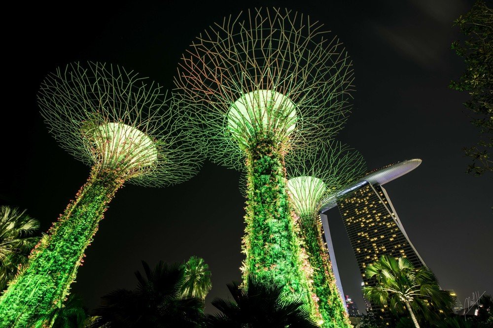 Gardens by the bay at night...